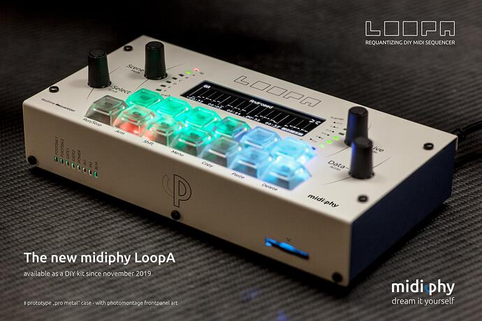 LoopA Pro Metal Case