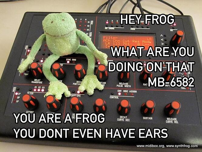 Frog on MB-6582