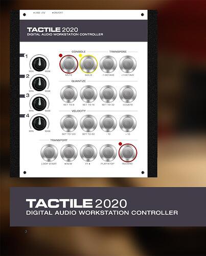 Layout 05
