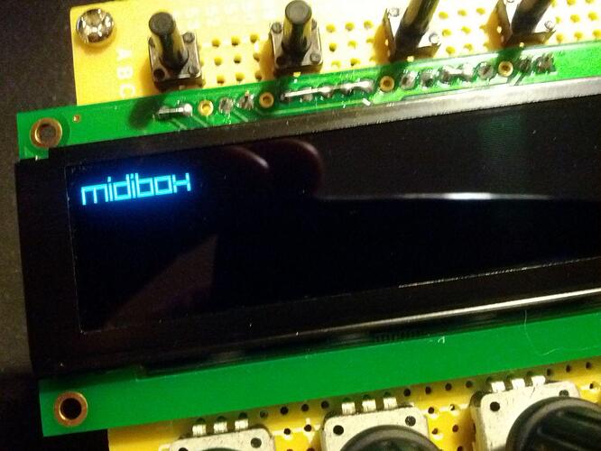 newhaven oled