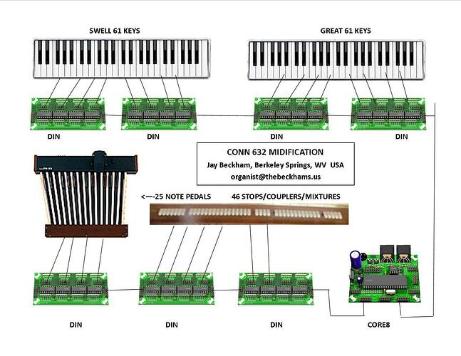 Organ